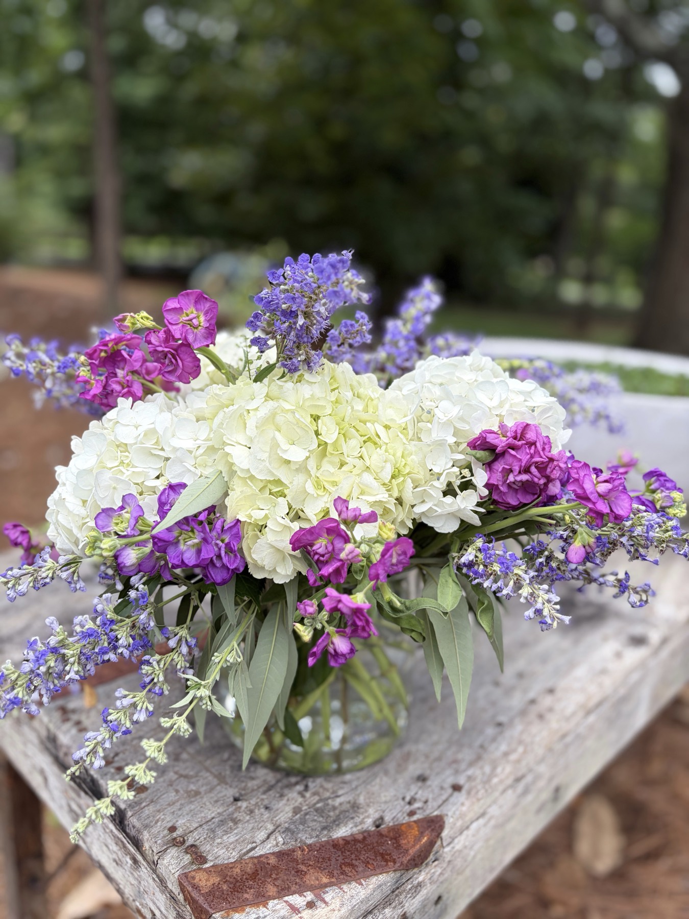 White hydrangea with purple and lavender stems