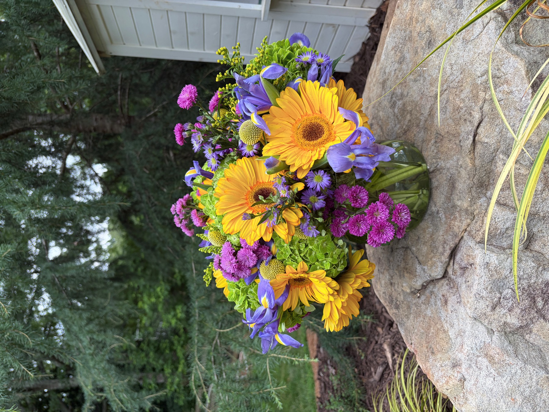 Yellow gerbera, purple iris and aster arrangement